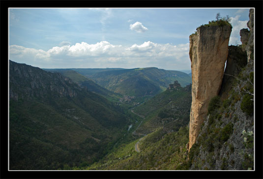 Les gorges de la Jonte